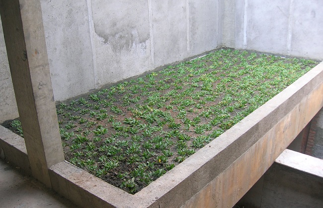 Terrasse étanche avec surface en bois composite